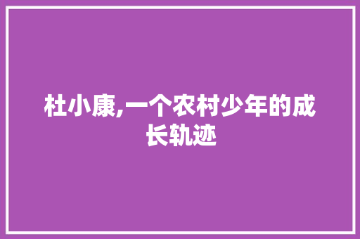 杜小康,一个农村少年的成长轨迹