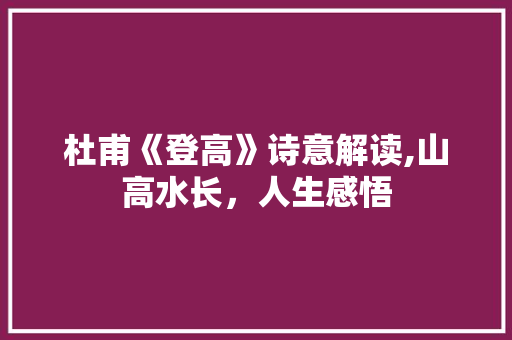 杜甫《登高》诗意解读,山高水长，人生感悟