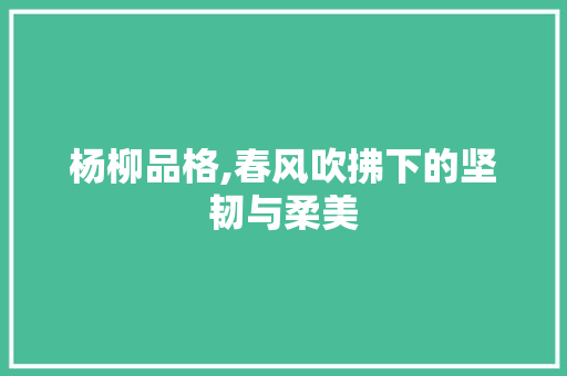 杨柳品格,春风吹拂下的坚韧与柔美