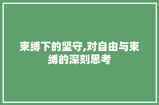 束缚下的坚守,对自由与束缚的深刻思考