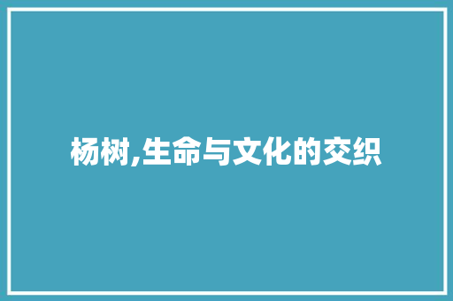 杨树,生命与文化的交织