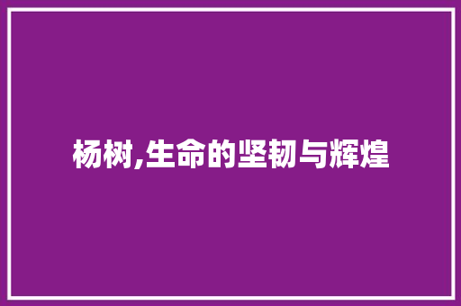 杨树,生命的坚韧与辉煌