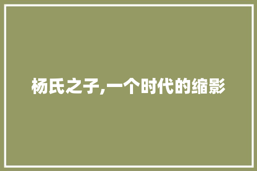 杨氏之子,一个时代的缩影