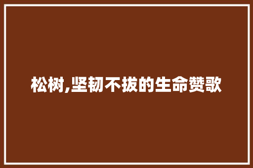 松树,坚韧不拔的生命赞歌