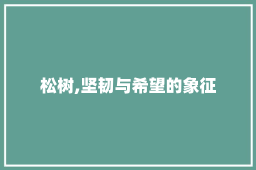 松树,坚韧与希望的象征