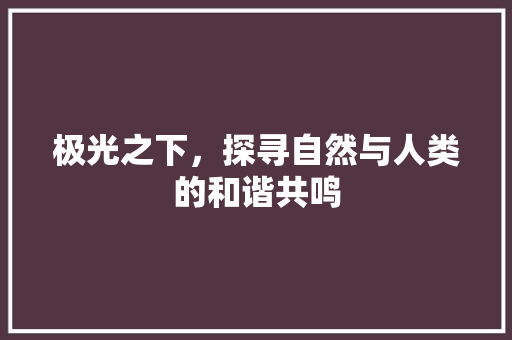 极光之下，探寻自然与人类的和谐共鸣