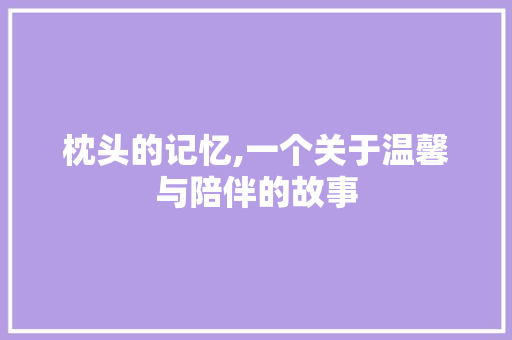 枕头的记忆,一个关于温馨与陪伴的故事