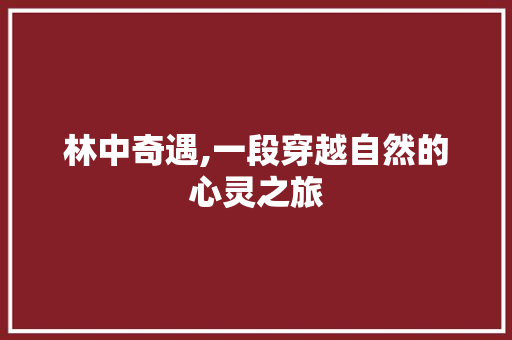 林中奇遇,一段穿越自然的心灵之旅