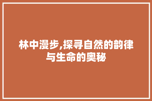 林中漫步,探寻自然的韵律与生命的奥秘