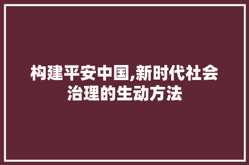 构建平安中国,新时代社会治理的生动方法