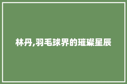 林丹,羽毛球界的璀璨星辰