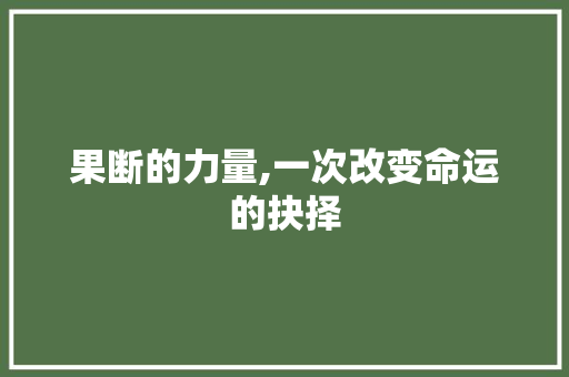 果断的力量,一次改变命运的抉择