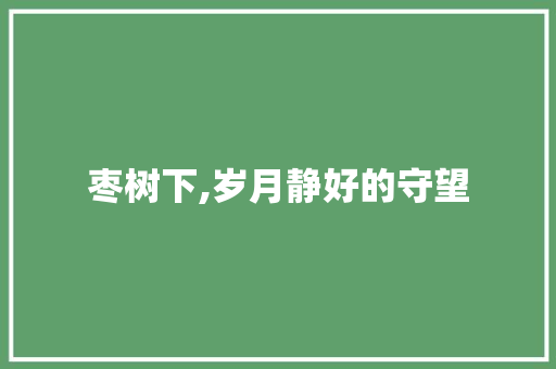 枣树下,岁月静好的守望