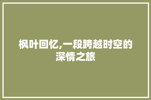 枫叶回忆,一段跨越时空的深情之旅