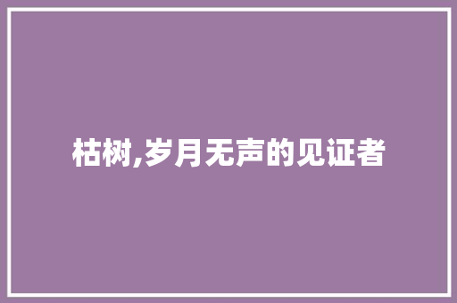 枯树,岁月无声的见证者