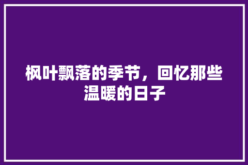 枫叶飘落的季节，回忆那些温暖的日子