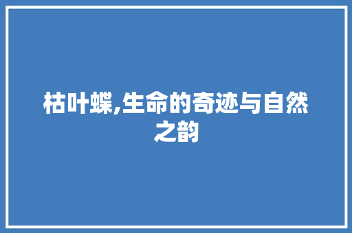 枯叶蝶,生命的奇迹与自然之韵