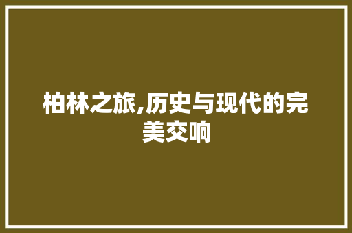 柏林之旅,历史与现代的完美交响