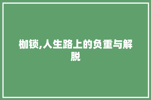 枷锁,人生路上的负重与解脱