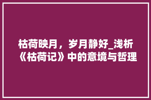 枯荷映月，岁月静好_浅析《枯荷记》中的意境与哲理