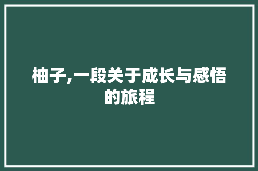 柚子,一段关于成长与感悟的旅程