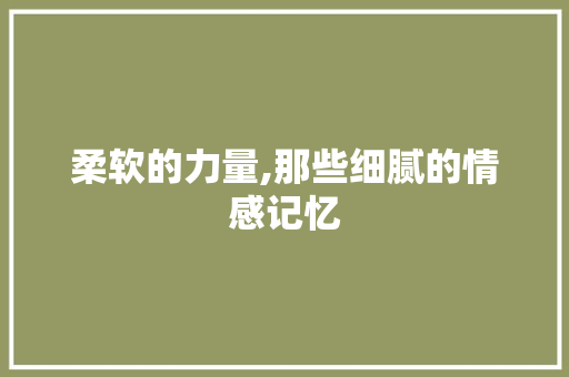 柔软的力量,那些细腻的情感记忆