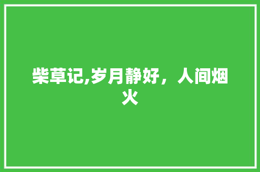 柴草记,岁月静好，人间烟火