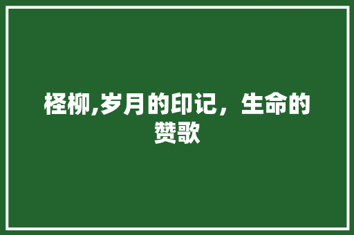 柽柳,岁月的印记，生命的赞歌