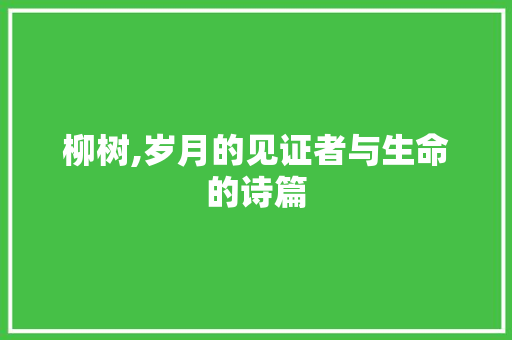 柳树,岁月的见证者与生命的诗篇