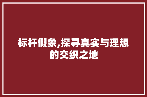 标杆假象,探寻真实与理想的交织之地