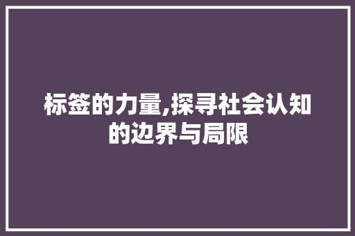 标签的力量,探寻社会认知的边界与局限