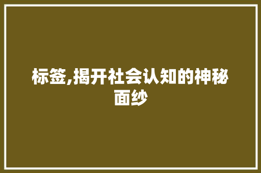 标签,揭开社会认知的神秘面纱