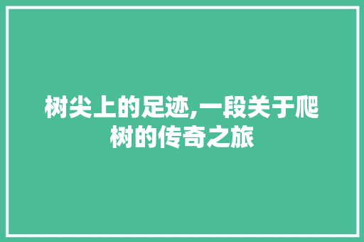 树尖上的足迹,一段关于爬树的传奇之旅