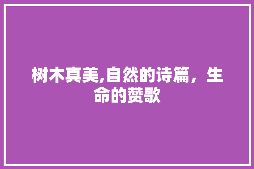 树木真美,自然的诗篇，生命的赞歌