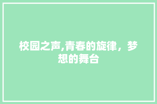 校园之声,青春的旋律，梦想的舞台