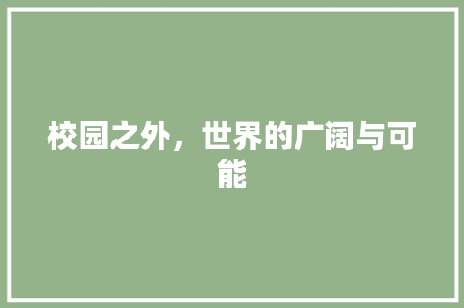 校园之外，世界的广阔与可能