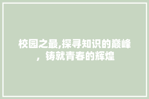 校园之最,探寻知识的巅峰，铸就青春的辉煌