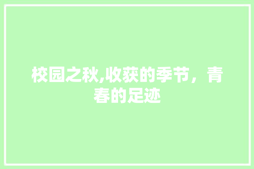 校园之秋,收获的季节，青春的足迹