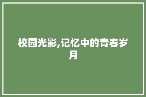 校园光影,记忆中的青春岁月