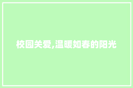 校园关爱,温暖如春的阳光