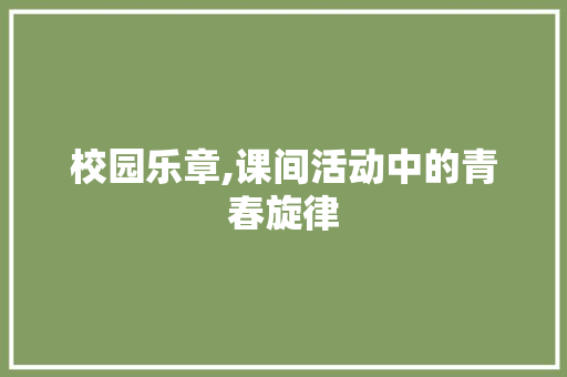 校园乐章,课间活动中的青春旋律