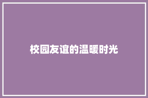 校园友谊的温暖时光