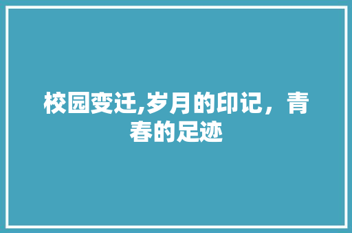 校园变迁,岁月的印记，青春的足迹