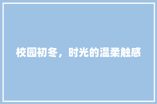 校园初冬，时光的温柔触感