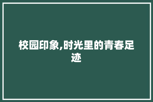 校园印象,时光里的青春足迹