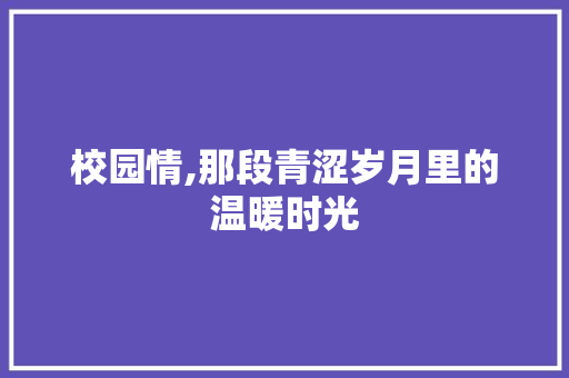 校园情,那段青涩岁月里的温暖时光