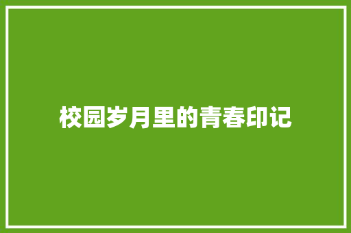 校园岁月里的青春印记