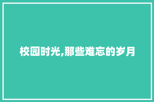 校园时光,那些难忘的岁月