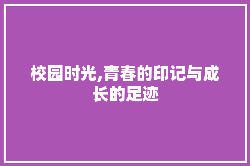 校园时光,青春的印记与成长的足迹