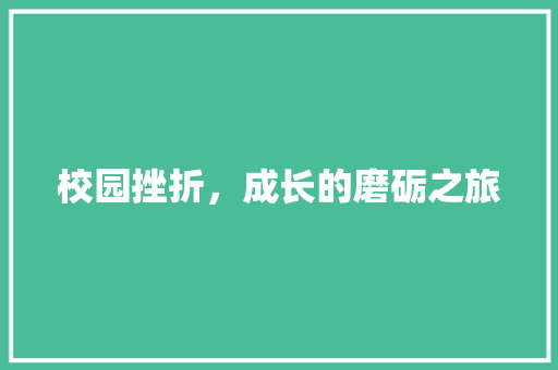 校园挫折，成长的磨砺之旅